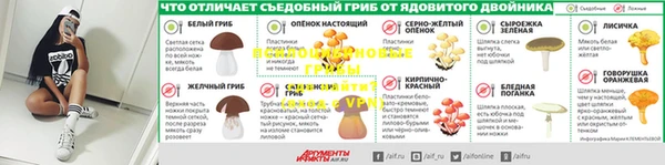 дживик Аркадак
