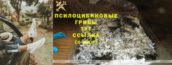 дживик Аркадак